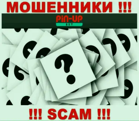 На интернет-портале PinUp Bet не указаны их руководители - мошенники без последствий прикарманивают денежные вложения