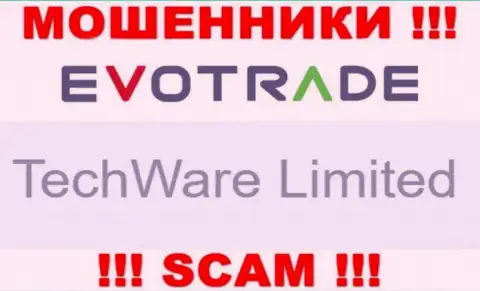 Юридическим лицом TechWare Limited считается - TechWare Limited