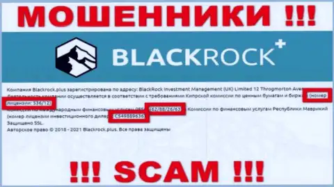 Black Rock Plus прячут свою жульническую сущность, предоставляя у себя на интернет-ресурсе номер лицензии на осуществление деятельности