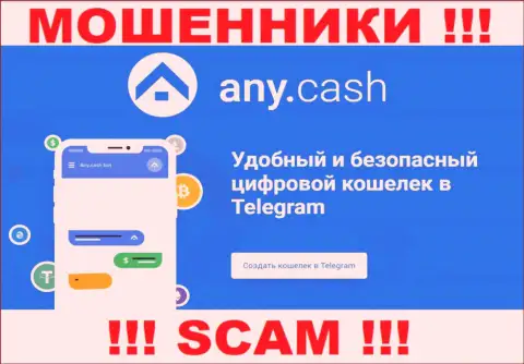 Any Cash - это internet-кидалы, их работа - Цифровой кошелек, направлена на слив вложенных денег наивных людей