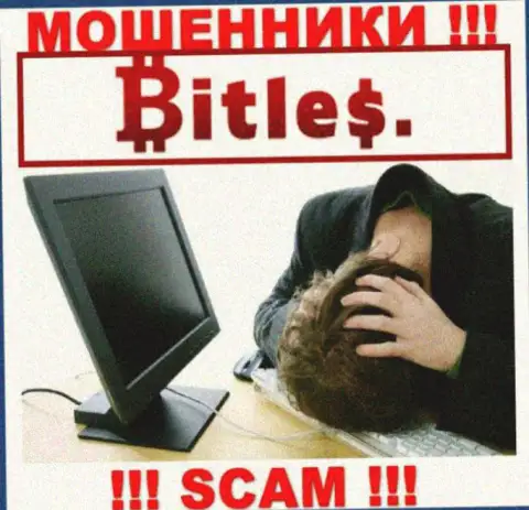 Не попадите в грязные лапы к интернет шулерам Bitles, поскольку рискуете остаться без вложенных денежных средств