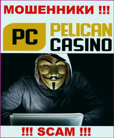 Лица управляющие организацией PelicanCasino Games предпочитают о себе не афишировать