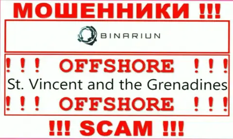 St. Vincent and the Grenadines - именно здесь зарегистрирована противоправно действующая организация Binariun