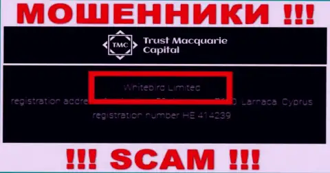 На официальном информационном сервисе ТрастМаккуориКапитал отмечено, что указанной компанией владеет Вайтберд Лтд