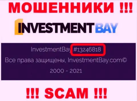Регистрационный номер, под которым официально зарегистрирована контора Investment Bay: 13246818