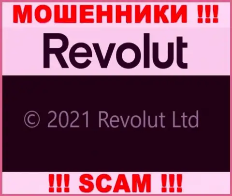 Юридическое лицо Revolut - это Revolut Limited, именно такую информацию оставили мошенники у себя на онлайн-ресурсе