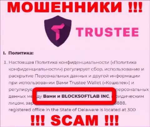 BLOCKSOFTLAB INC руководит конторой TrusteeGlobal Com - это МОШЕННИКИ !!!
