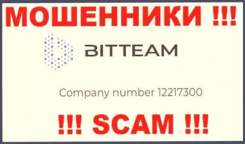 Номер регистрации организации BitTeam - 12217300