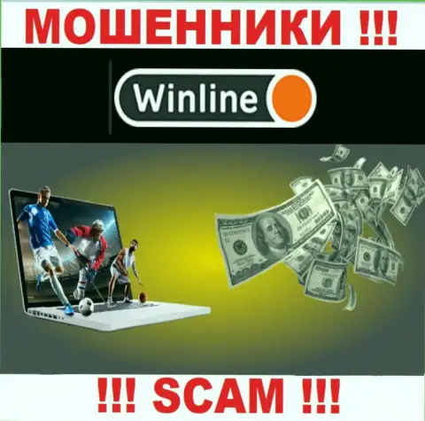Будьте очень бдительны !!! WinLine Ru - это однозначно мошенники ! Их деятельность незаконна