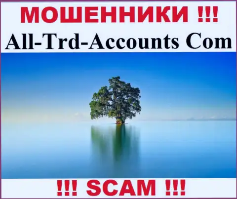 All Trd Accounts воруют денежные средства и остаются без наказания - они скрыли информацию о юрисдикции